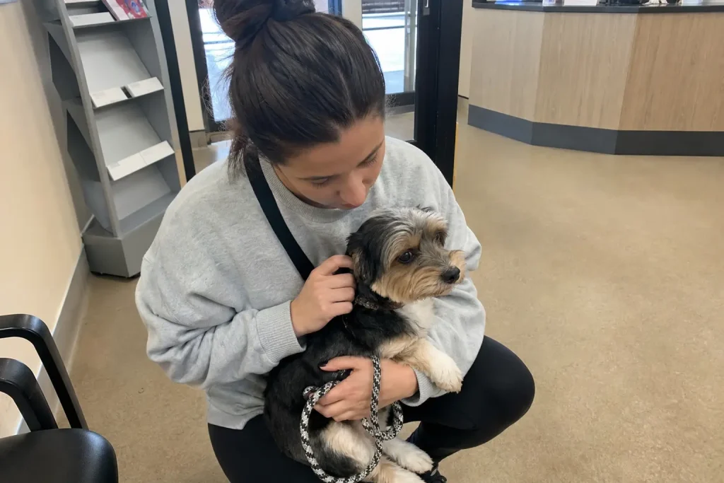 Husdjursägare sitter på huk i ett väntrum hos veterinären och klappar sin lilla hund i knäet.